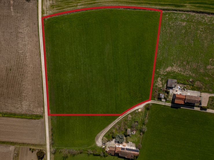 Terreno agricolo zona Schiavonia